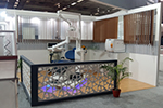 Dentsply India